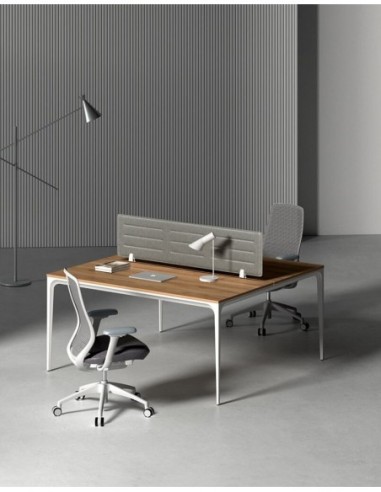 ARC Designer Series Cluster of 2 Workstation Desk