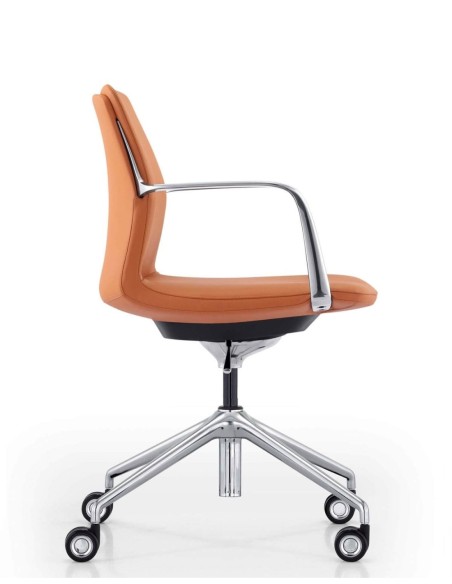 Diego Orange Diego Orange