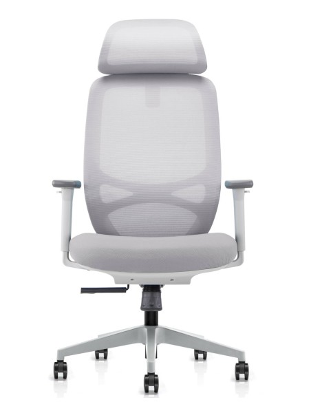 Beta Light Grey Ergonomic Chair
