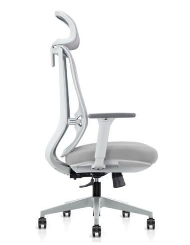 Beta Light Grey Ergonomic Chair