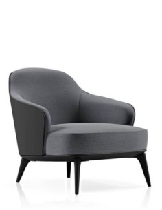 Dena Lounge Chair 2