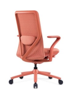Poly Ergonomic Chair 2