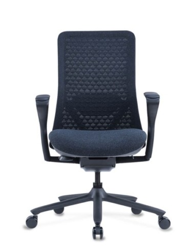 Poly Ergonomic Chair