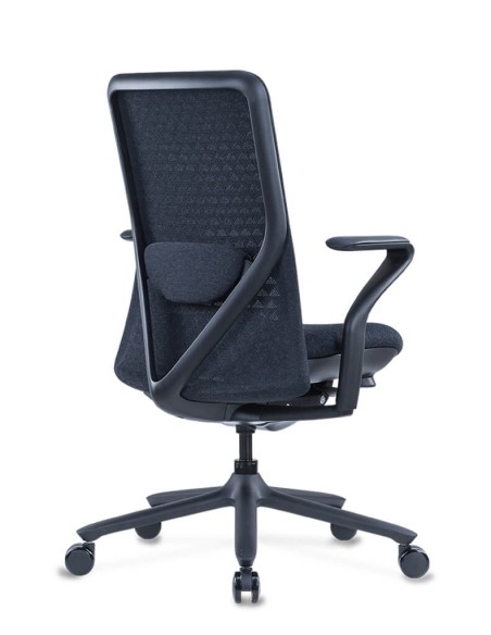 Poly Ergonomic Chair