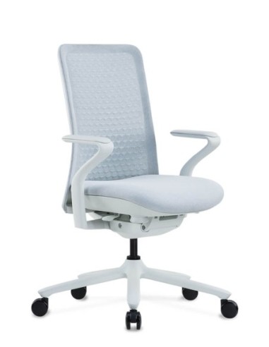 Poly Ergonomic Chair
