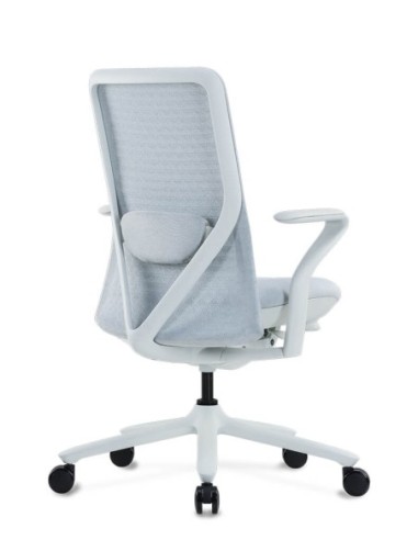 Poly Ergonomic Chair