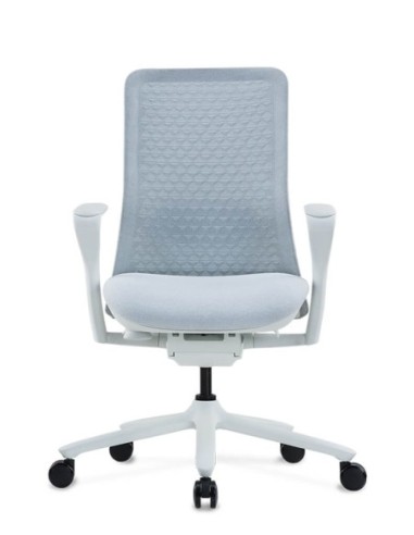 Poly Ergonomic Chair