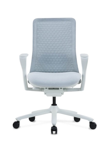 Poly Ergonomic Chair
