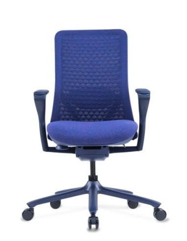 Poly Ergonomic Chair