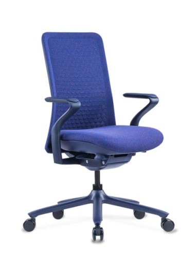 Poly Ergonomic Chair