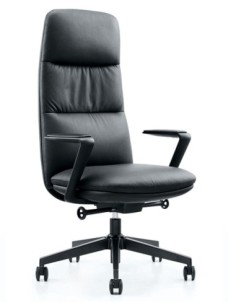 Cooper Executive Chair