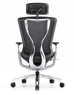 Prime Super Ergonomic Mesh Chair 2