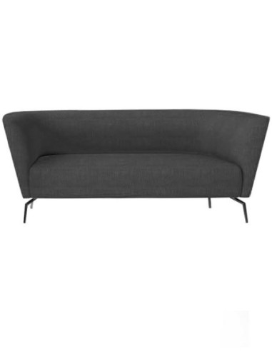 Kas Modular Double Seater Minimalist Low Back Sofa