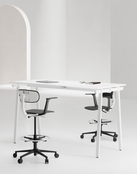 Ava High white warmia 2