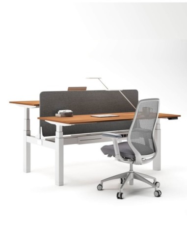 Max Series® Cluster of 2x Height Adjustable Workstation Desk