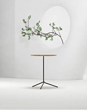 Knot Wood Veneer Minimalist Coffee Table 2