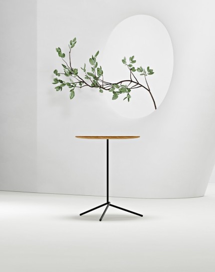 Knot Wood Veneer Minimalist Coffee Table