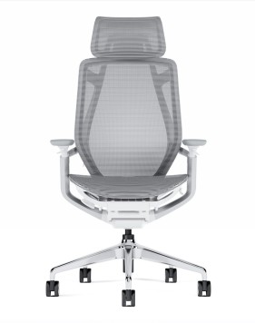 Endurance Pearl Grey Super Ergonomic Mesh Chair 2