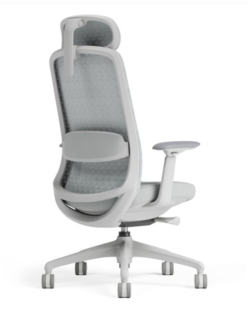 Polar Light Grey Ergonomic Chair Polar Light Grey Ergonomic Chair