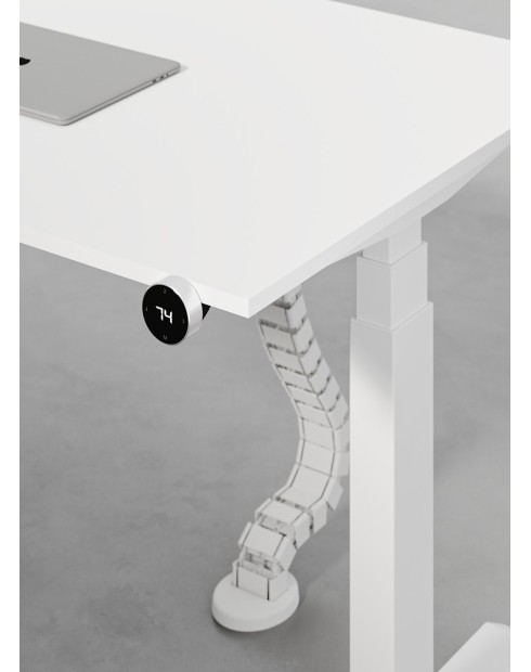 Max Series Dual Motor Electric Height Adjustable Standing Desks