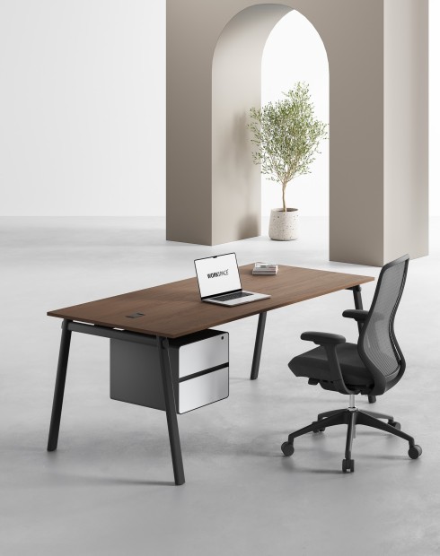 AVA Series Rectangular Executive Desk Alpine B