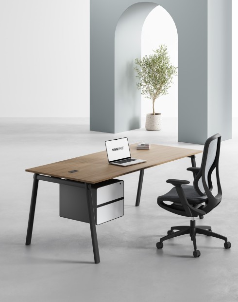 AVA Series Rectangular Executive Desk Amber B