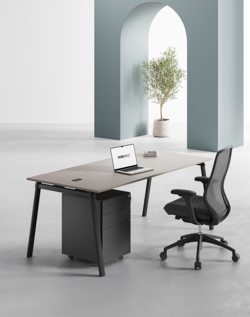 AVA Series Rectangular Executive Desk Ash Grey B
