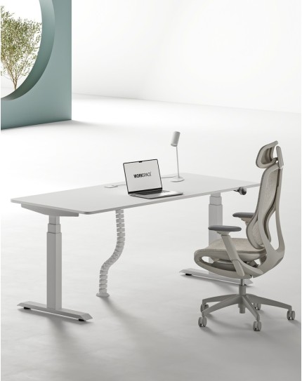 Max Series Dual Motor Electric Height Adjustable Standing Desks White W