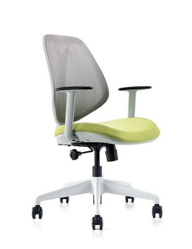 Moira Multi-Task Modern Office Chair