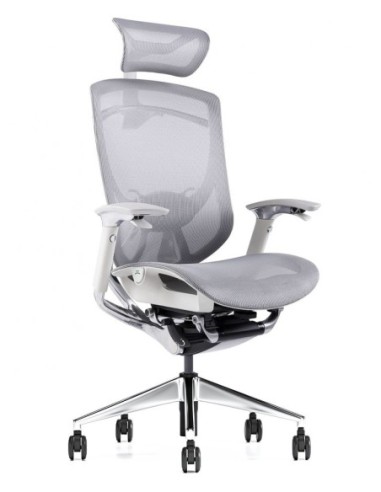 iFit Super Ergonomic with Paddle Shift Control Executive Office Chair