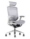 iFit Super Ergonomic with Paddle Shift Control Executive Office Chair