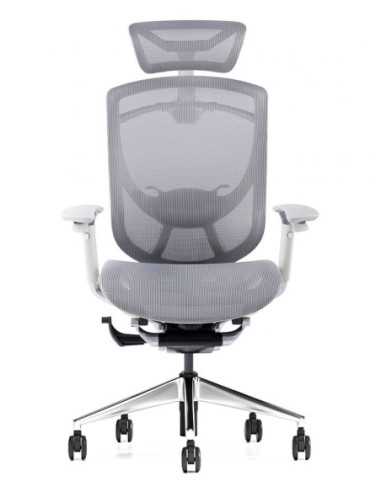 iFit Super Ergonomic with Paddle Shift Control Executive Office Chair