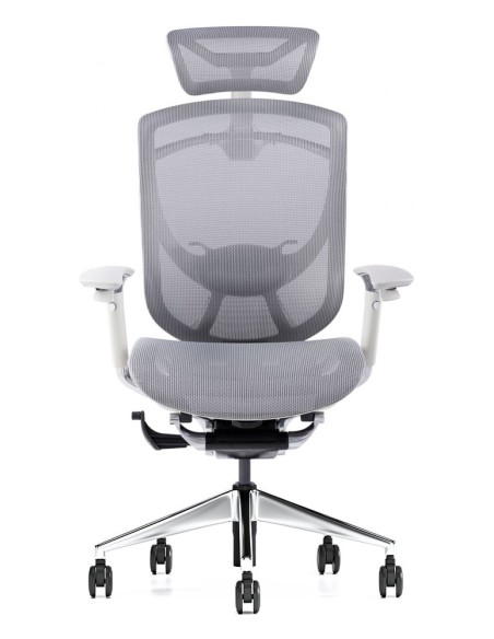iFit Super Ergonomic with Paddle Shift Control Executive Office Chair